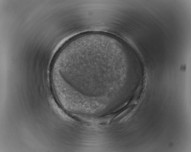 X0000112770932200909171309