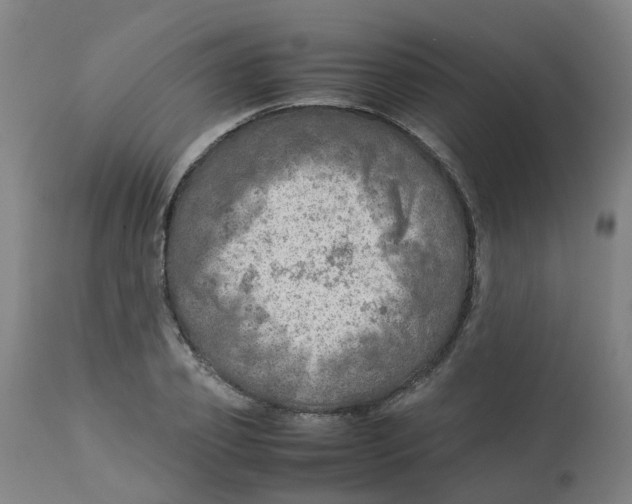 X0000112770933200909171309