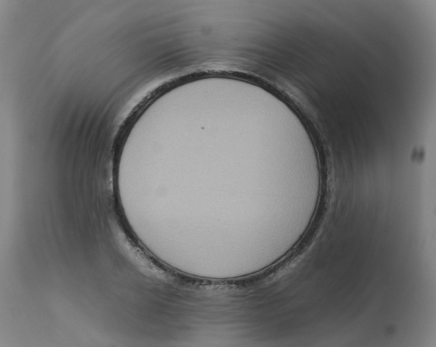 X0000112770934200909171309