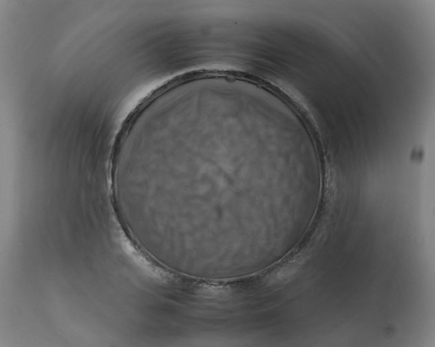 X0000112770935200909171309