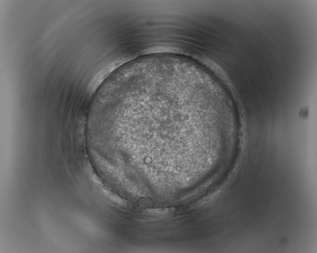 X0000112770937200909171309