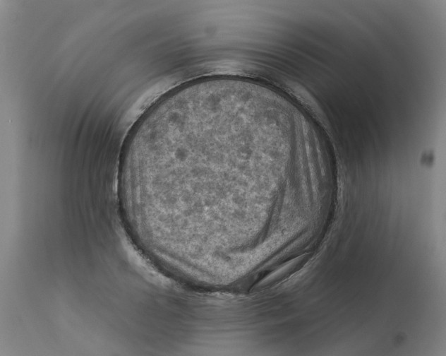 X0000112770938200909171309