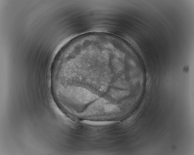 X0000112770939200909171309