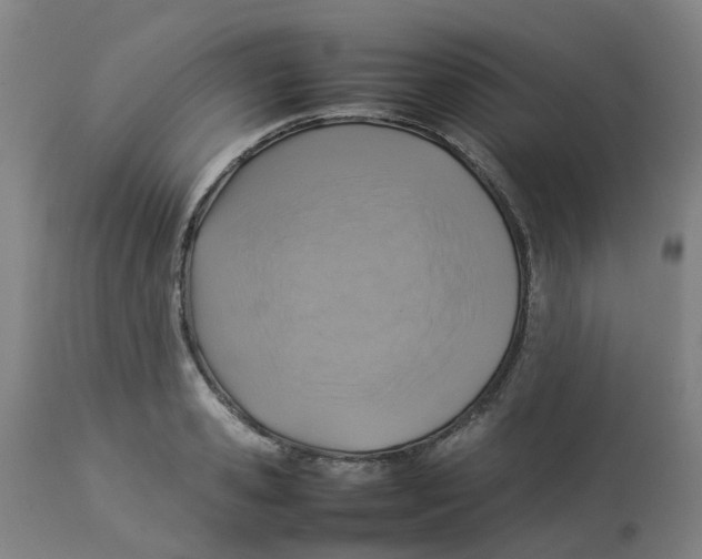 X0000112770941200909171309