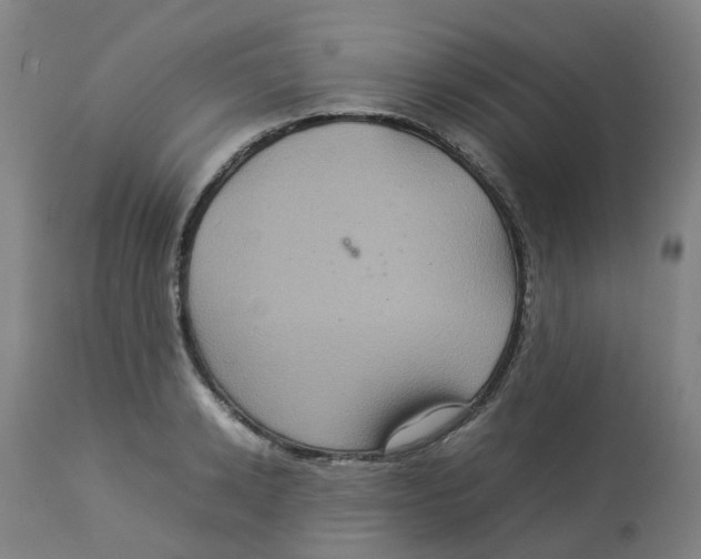 X0000112770942200909171309