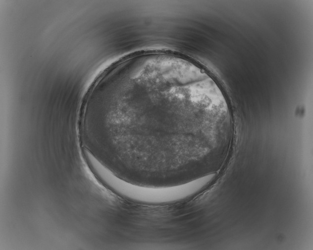 X0000112770943200909171309