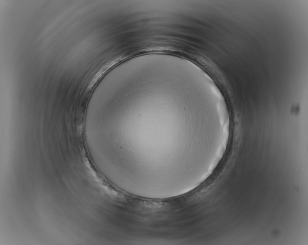 X0000112770945200909171309