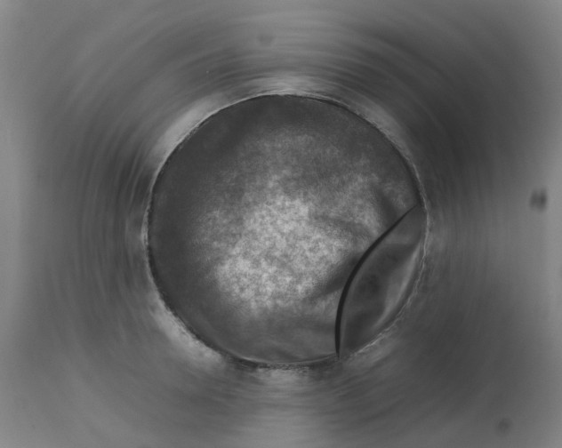 X0000112770946200909171309