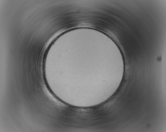 X0000112770947200909171309