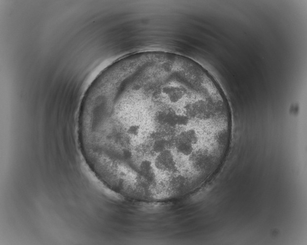 X0000112770949200909171309