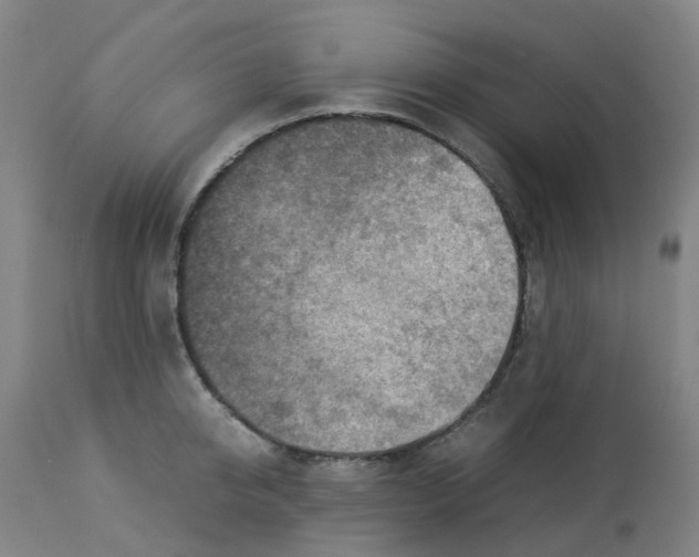 X0000112770950200909171309