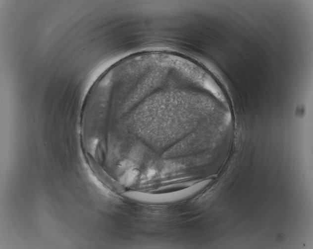 X0000112770951200909171309