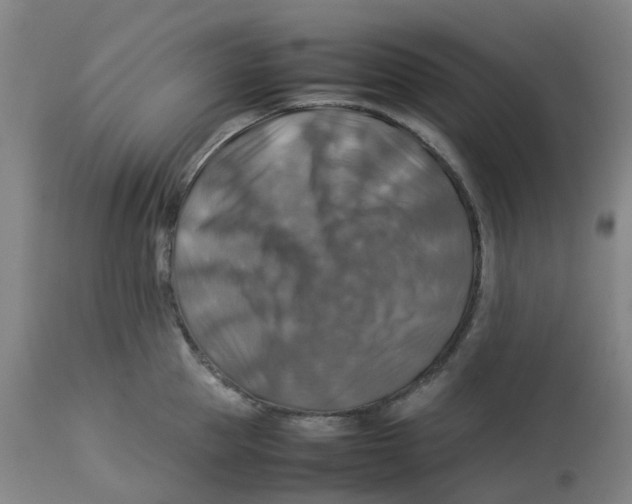 X0000112770953200909171310