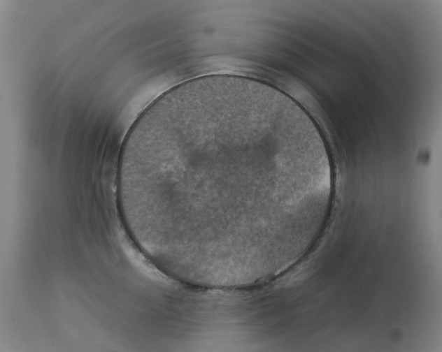 X0000112770954200909171310