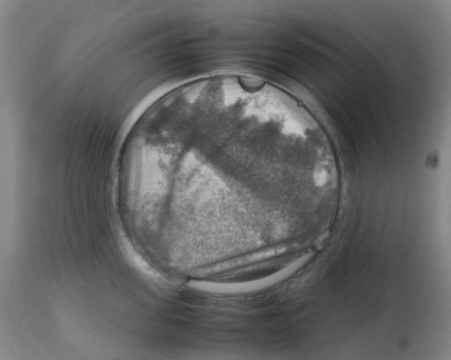 X0000112770955200909171310