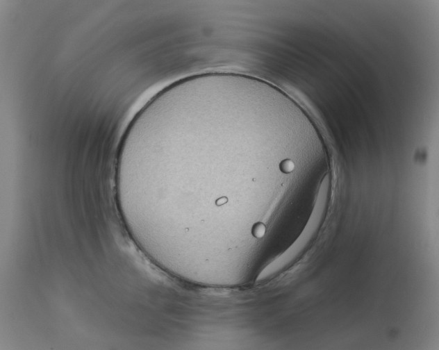 X0000112770956200909171310