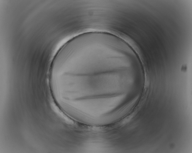 X0000112770958200909171310