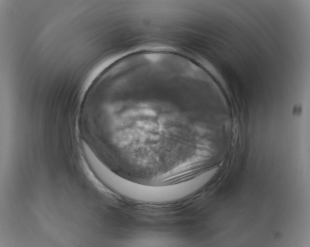 X0000112770959200909171310