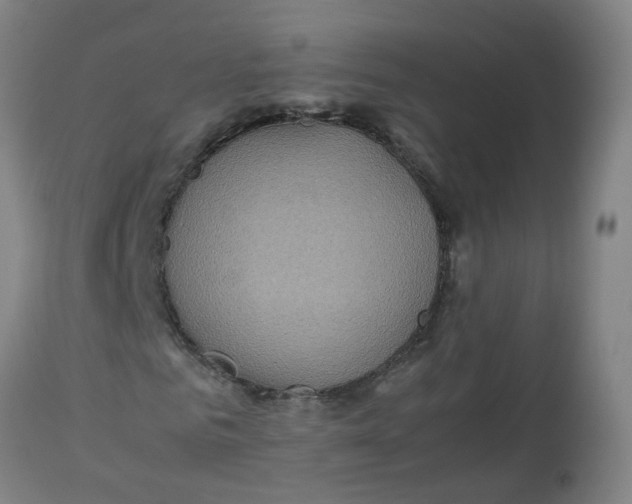 X0000112770961200909171309