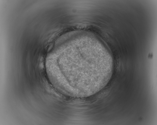 X0000112770962200909171309