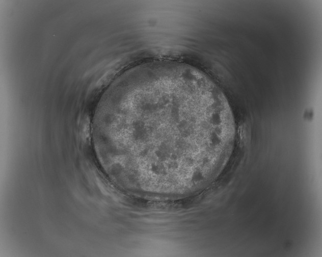 X0000112770963200909171309