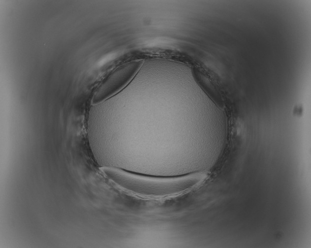 X0000112770965200909171309