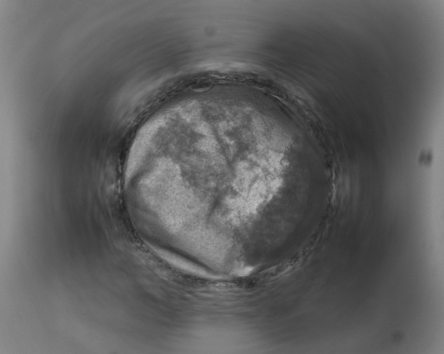 X0000112770966200909171309