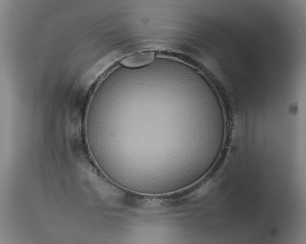 X0000112770969200909171309