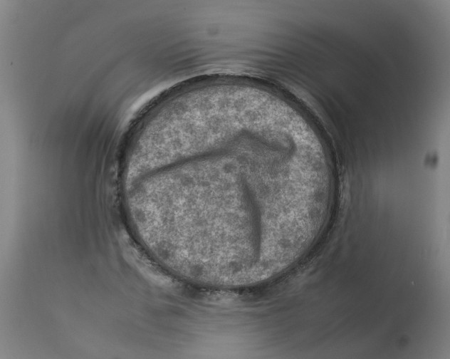 X0000112770971200909171309