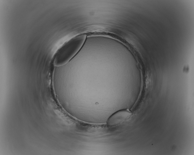 X0000112770973200909171309