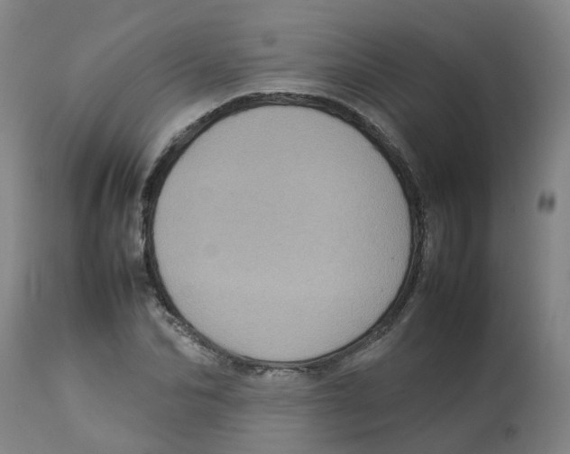 X0000112770974200909171309