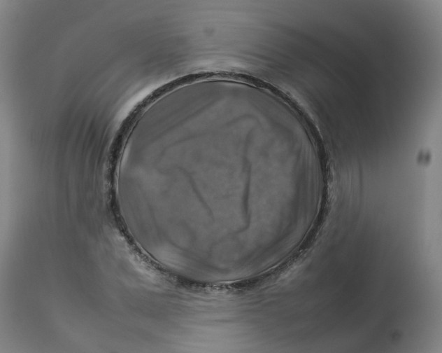 X0000112770975200909171309