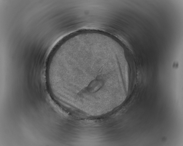 X0000112770976200909171309