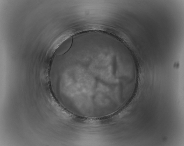 X0000112770977200909171309