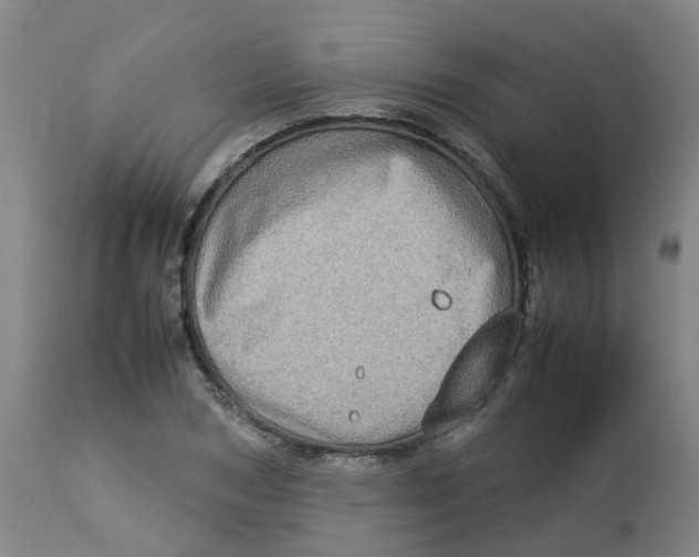 X0000112770978200909171309