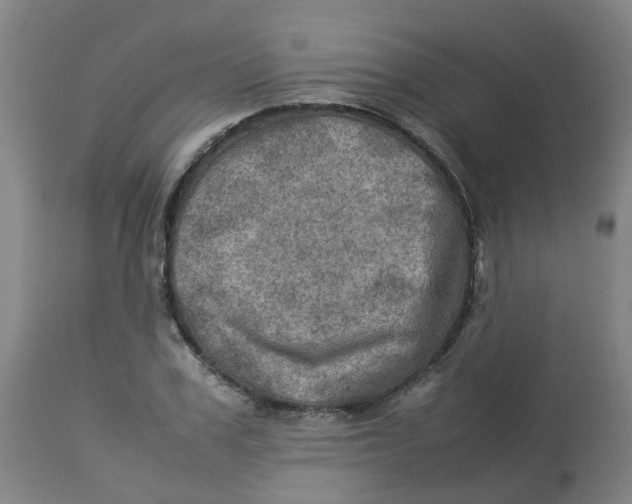 X0000112770979200909171309