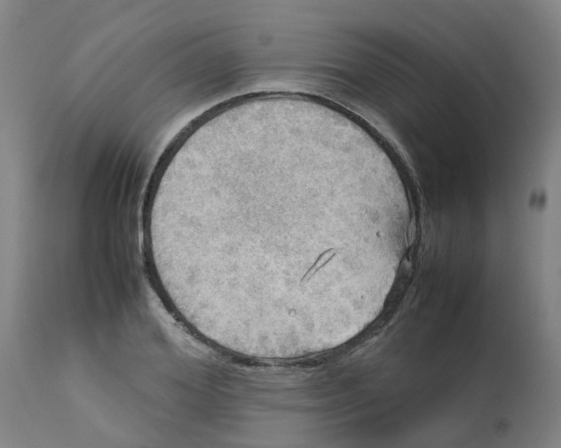 X0000112770980200909171308