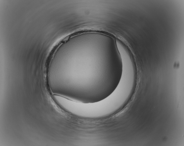 X0000112770981200909171308