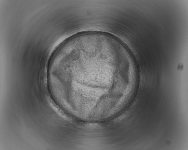 X0000112770982200909171308