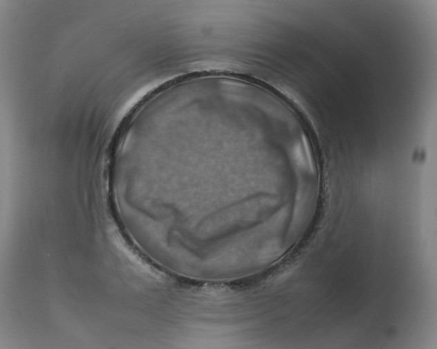 X0000112770983200909171308