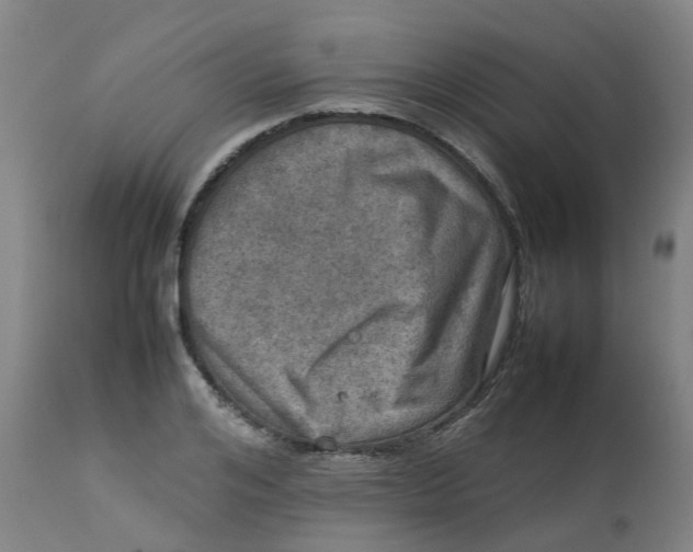 X0000112770984200909171308