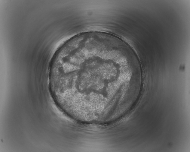 X0000112770987200909171308