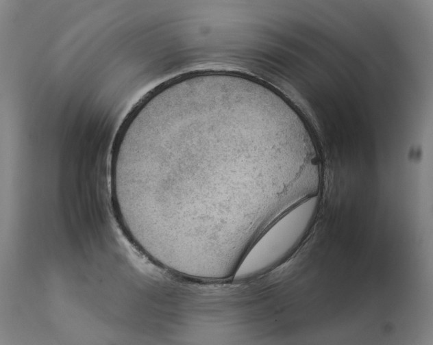 X0000112770988200909171308