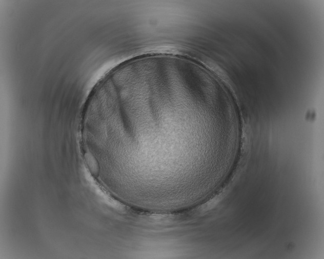 X0000112770989200909171308