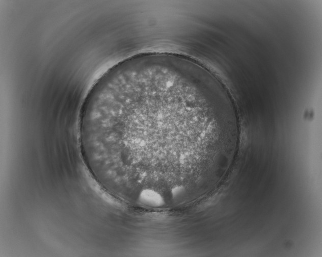 X0000112770990200909171308