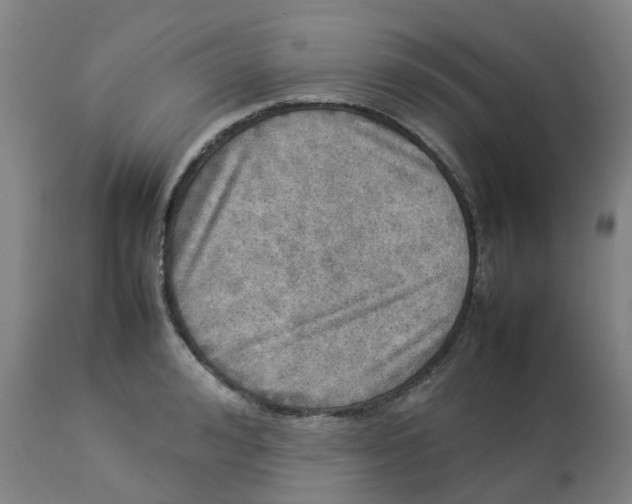 X0000112770992200909171308