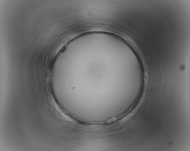 X0000112770993200909171308