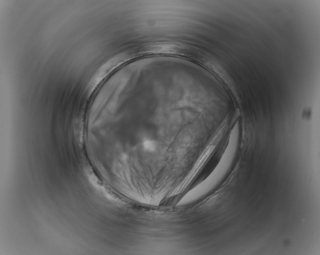 X0000112770994200909171308