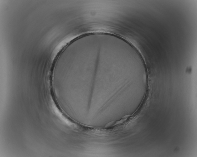 X0000112770995200909171308