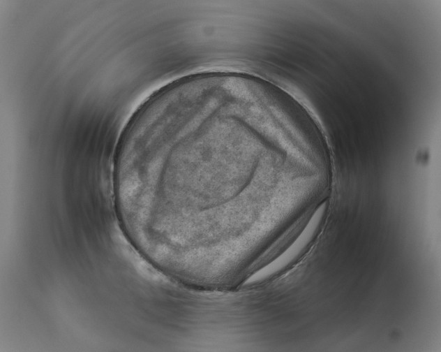 X0000112770996200909171308